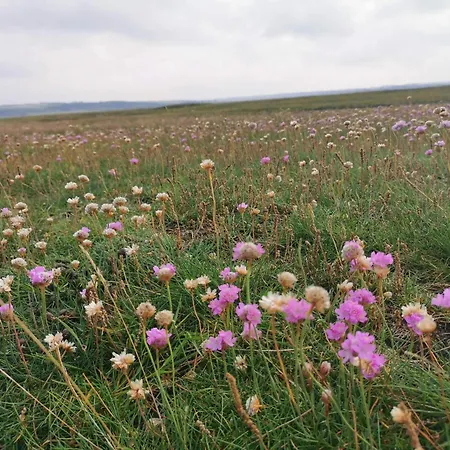 8 Person In Lemvig-by Traum