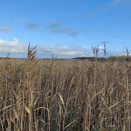 8 Person In Lemvig-by Traum Semesterbostad